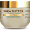 xlarge_20230302093313_kativa_shea_butter_maska_mallion_gia_endynamosi_300ml xlarge 20230302093313 kativa shea butter maska mallion gia endynamosi 300ml